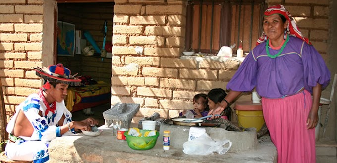 REPORTAJE/Fracasan programas de combate a  pobreza: UNAM