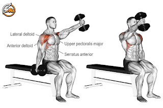 The Best Shoulder and Bicep Workout for Mass