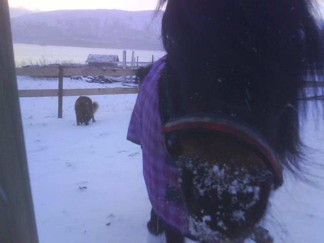 januar09 174