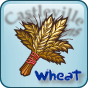 Wheat