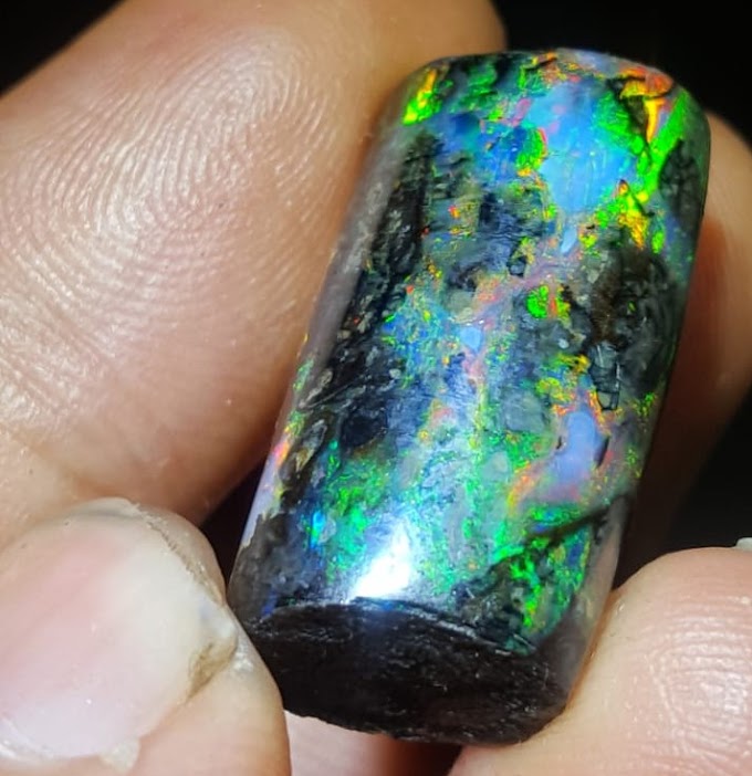 Wood Opal Rainbow
