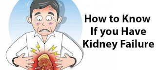 What are the Signs of Renal Failure?