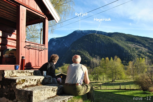 Høgerauk 061 (2)
