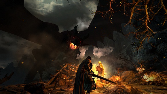 dragons-dogma-dark-arisen-pc-screenshot-www.ovagames.com-3