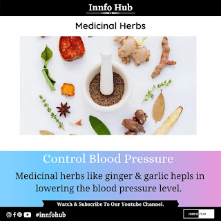 Medicinal Herbs