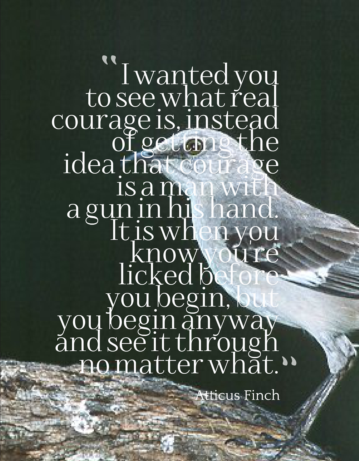 To Kill A Mockingbird Atticus Quotes. QuotesGram
