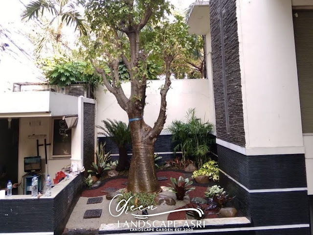 tukang taman blitar