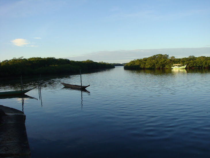 Rio Barcelos