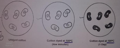 Diffusion of dye into the fibre with time