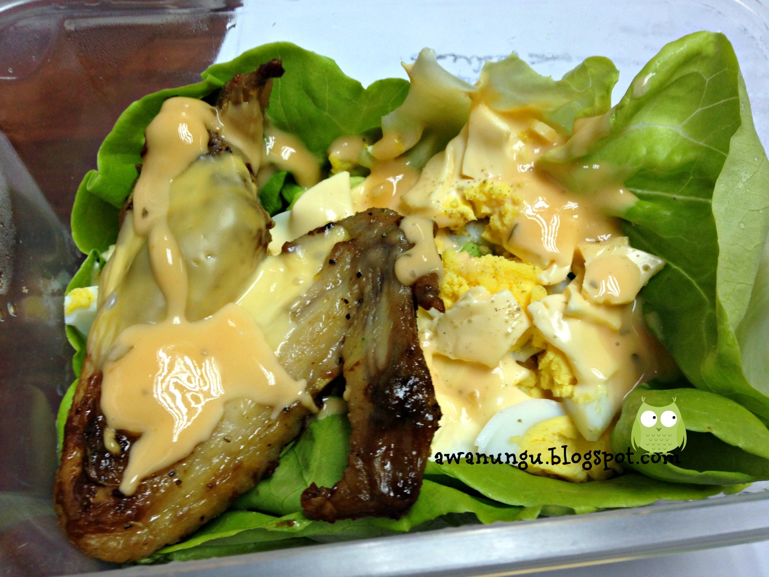 Resepi Diet: Salad Ayam & Telur