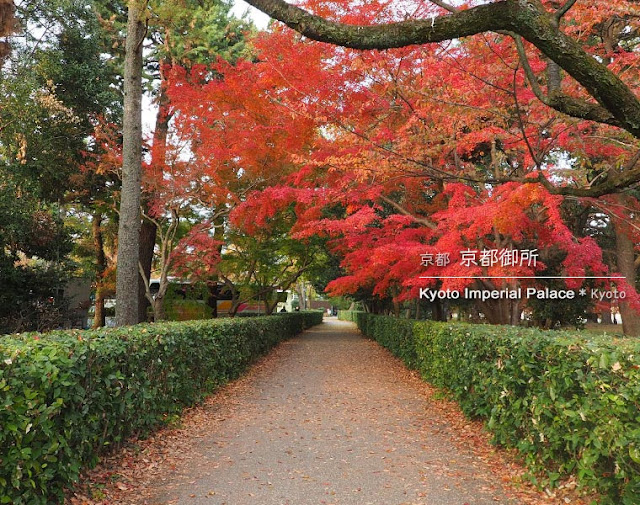 [京都] 秋の京都御所