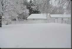 Snow so sticky, it makes the fence look like a doilie