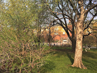 A park space