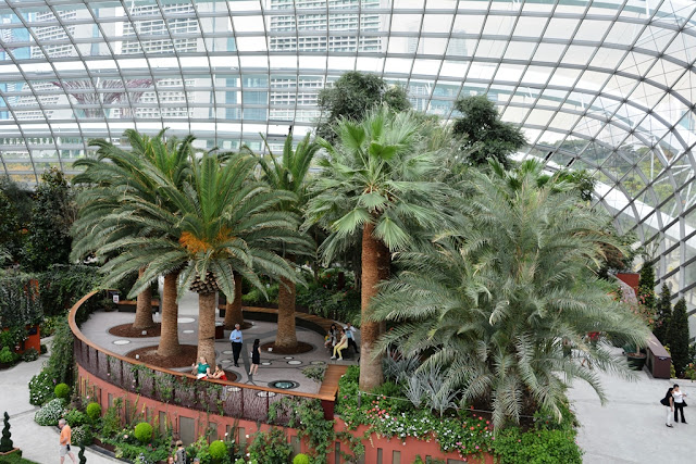 Flower Dome Singapore