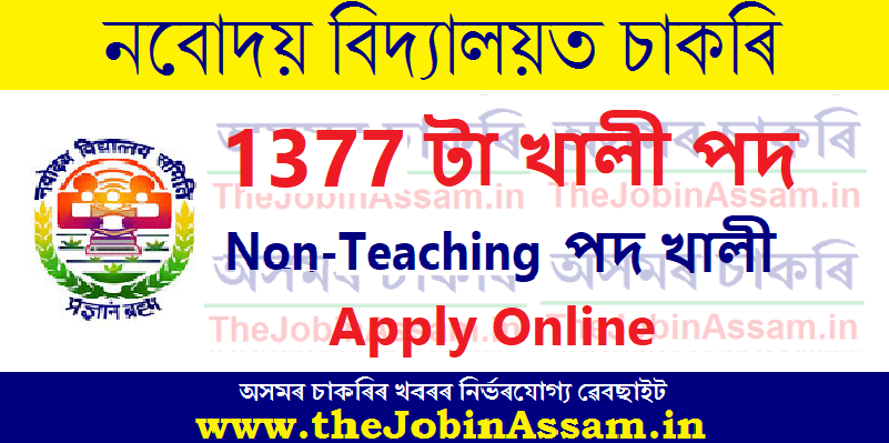 Navodaya Vidyalaya Samiti Recruitment 2024 – 1377 Non-Teaching Vacancy