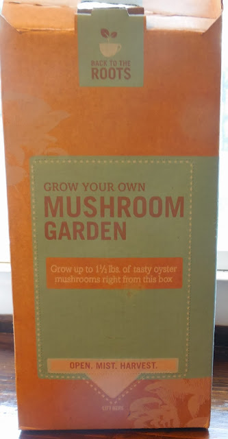 Grow Your Own Mushroom Garden