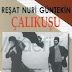 Çalıkuşu Reşat Nuri Güntekin