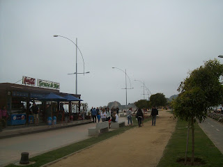 Tour Viña del Mar y Valparaiso