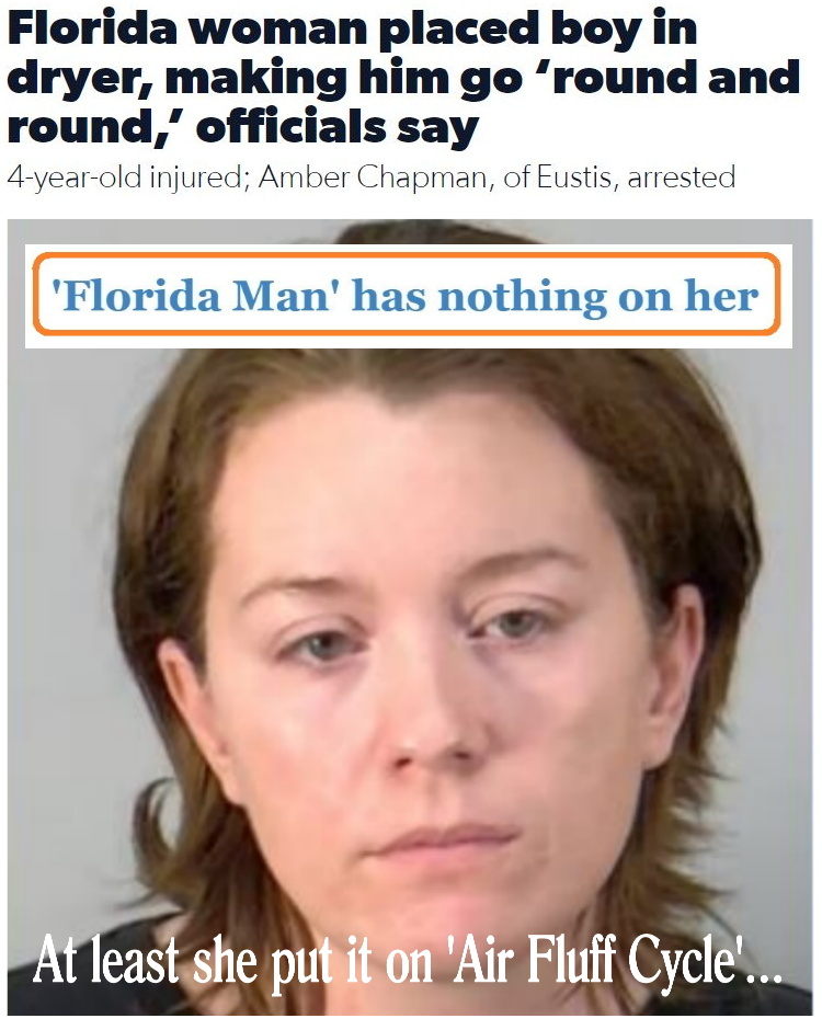 The View From Lady Lake Hands Down Florida Woman Beats Florida Man Every Day In The Crazy