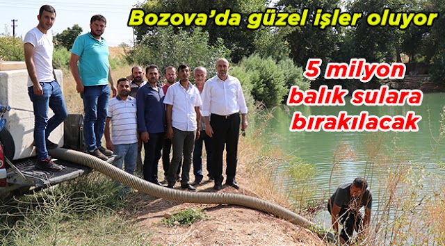 Bozova Fırat nehrine ve Küçük Göle balık bırakılıyor