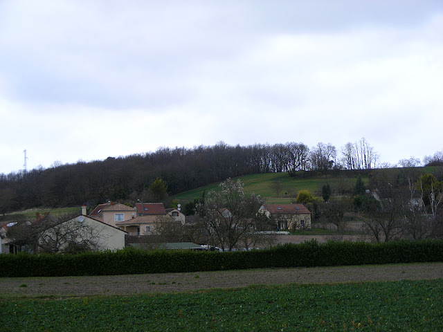 Photographed by Susan from Loire Valley Time Travel. https://tourtheloire.com