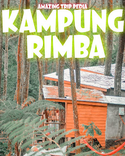 Mengabadikan Momen Kampung Rimba Camp Bogor Jawa Barat