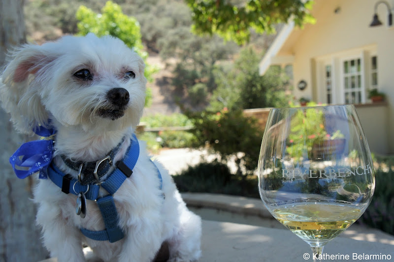 Santa Maria Dog Friendly Wineries Central California Weekend Getaway