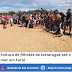 Soltura de filhotes de tartarugas até o mar em Farol