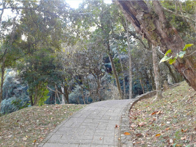 Caminho em bosque próximo ao Paço Municipal de Serra Negra.