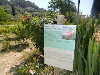 Information along MIP gardens olfactory route
