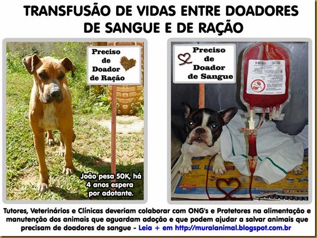 transfusao_vidas