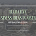 10+ Hot Untapped Lucrative Business Ideas In Nigeria -Lucrative business ideas with low start up capital