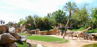 Bioparc Valencia.