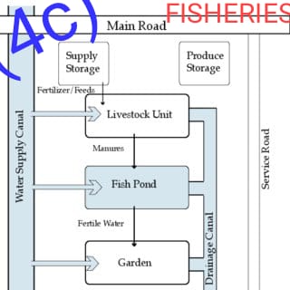 2022 WAEC Fisheries (Essay & OBJ) Answers [19th May]
