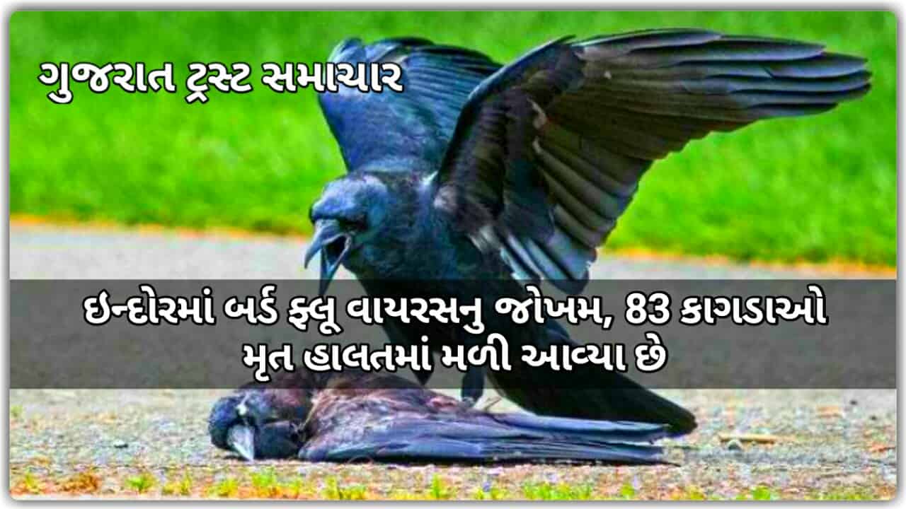 New crack in Indore Bird flu threat 83 crows found dead