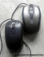 mouse