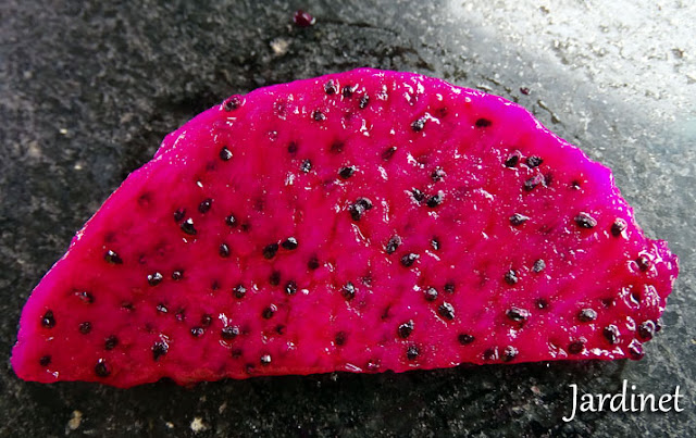 Polpa e sementes de pitaya