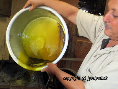 What is mustard oil?, mustard oil, pure mustard oil
