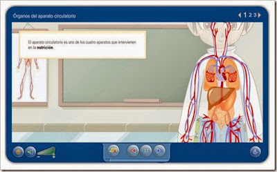 http://repositorio.educa.jccm.es/portal/odes/conocimiento_del_medio/el_aparato_circulatorio_humano/contenido/index.html