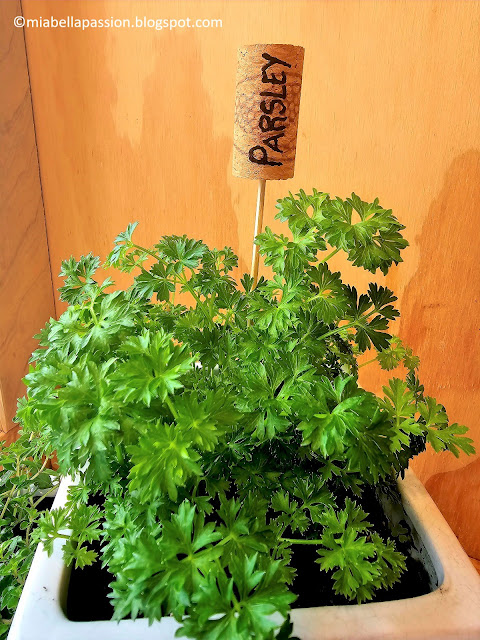 DIY Plant Cork Labels