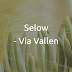 Chord Gitar Selow – Via Vallen