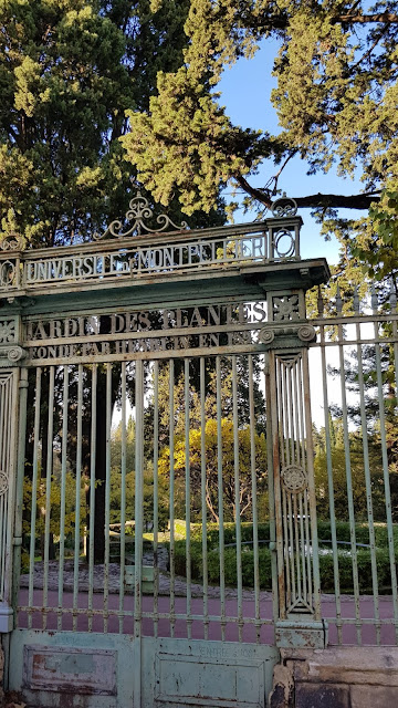 Botanical garden Montpellier