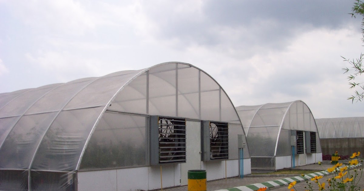 Perusahaan Greenhouse Rumah kaca: Greenhouse adalah Rumah ...