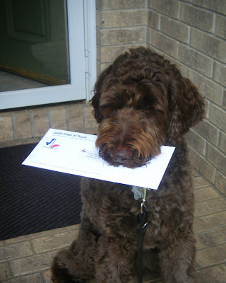 Now he's holding the envelope in his mouth and you can see it's got the GDTX logo on it.