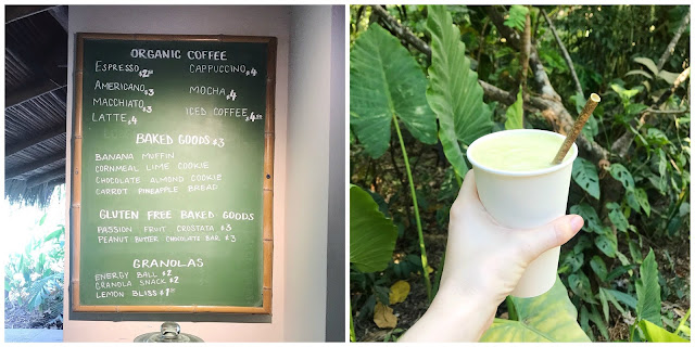 where to get coffee in nosara costa rica