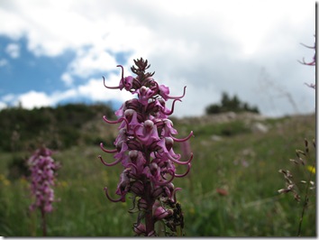 Vedauwoo 2012-07-17 (55)