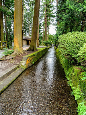 お礼参りに行ったら、新屋山神社でまたまた大吉！