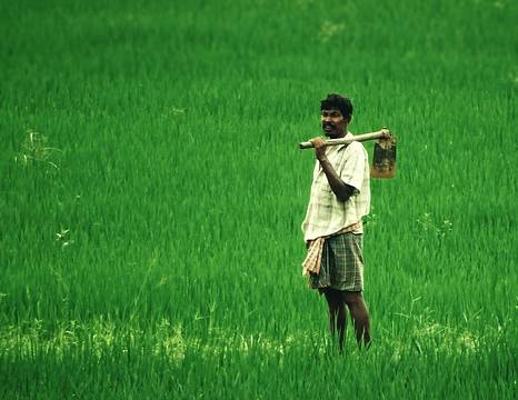 Can agriculture be profitable in India?