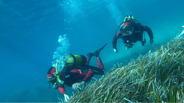 Curso buceo espeleo Franceses Cala Falcó  -foto: Rafael Minguillón -GAME