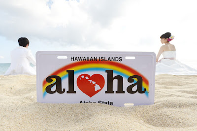 Hawaii License Plate